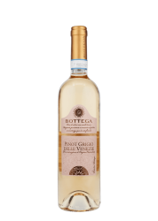 Bottega Pinot Grigio Rose Doc Delle Venezie 75Cl